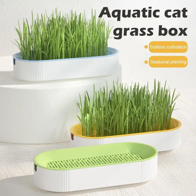 Hydroponic Cat Grass Soil-Free Planter Cat Grass Planting Box Plant Growing Kit
