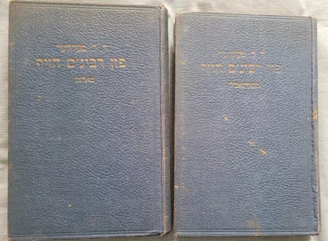 David L. Mekler - Fun Rebbe's Hoyf - YIDDISH, HASIDISM JUDAICA  Jewish Biography