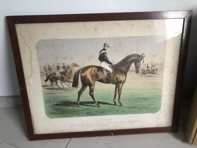 Lithographie Cheval SALVATOR & Jockey - Derby Chantilly & Grand Prix Paris 1875