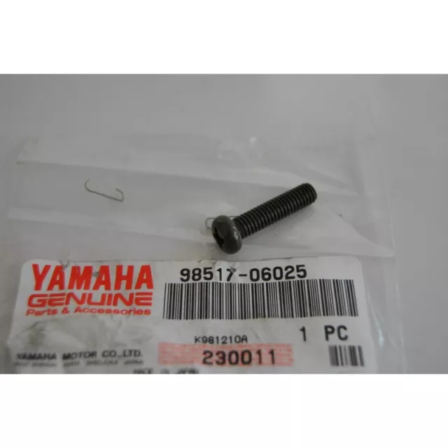 Vite carter motore Crankcase screw Yamaha Jog 50 94-97 Virago 1100 1997