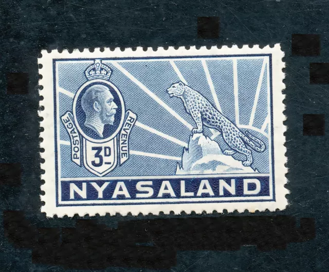 NYASSALAND - FAUNE Animaux sauvages Panthère - 1937/35