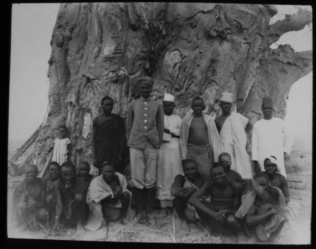 ANTIQUE Magic Lantern Slide GROUP AROUND TREE C1910 PHOTO TANZANIA ? AFRICA