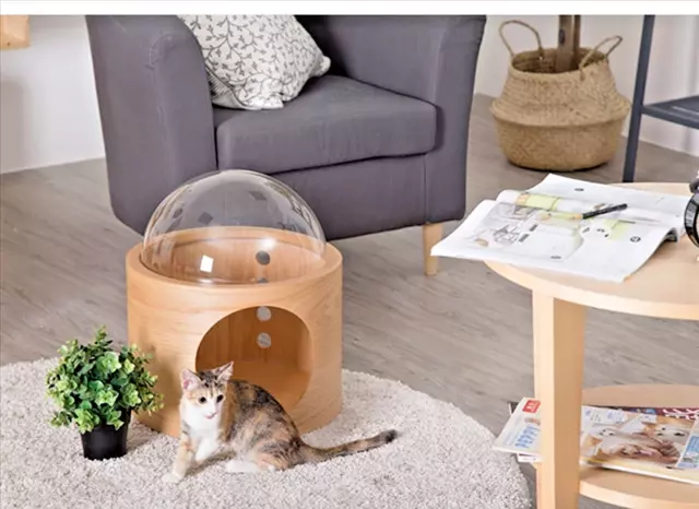 Futuristic Cat House With Panoramic Dome View UK