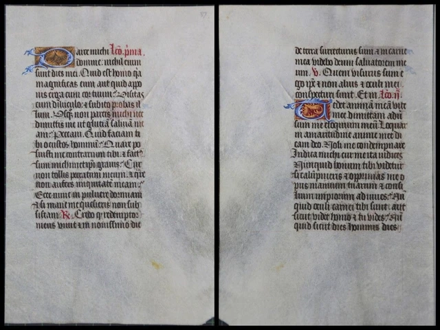 Illuminierte Grafia Su Pergamena Foglia Di Uno Miniatura Um 1500 (063)