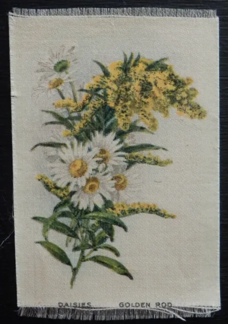 DAISIES GOLDEN ROD Garden Flowers of the World issued 1913 ITC SILK RED NUMERAL