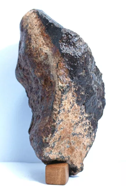 unclassified chondrite meteorite NWA xxx, 598gm