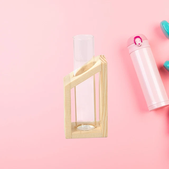 PIANTE DA PARETE terrario fioriera di vetro vaso idroponico di