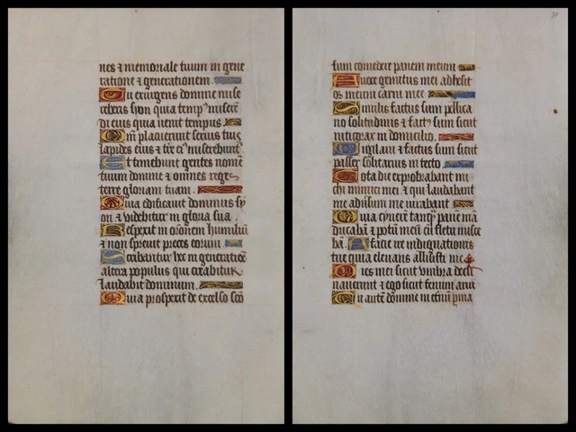 Illuminierte Grafia Su Pergamena Foglia Di Uno Miniatura Um 1500 (054)