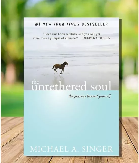 The sans Fil Soul: The Journey Beyond Yourself par Michael A.Chanteuse Livre