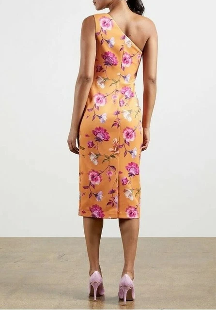 Ted baker roshi best sale dress