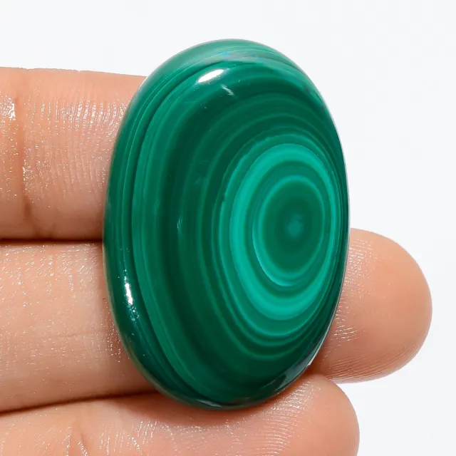 47.50 Cts. 100% Natural Green Malachite 32X21X5 MM Oval Cabochon Loose Gemstone
