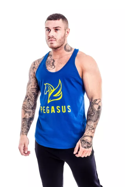Men Gym Muscle Sleeveless Shirt Tank Top Sport Bodybuilding Sport Fitness Vest