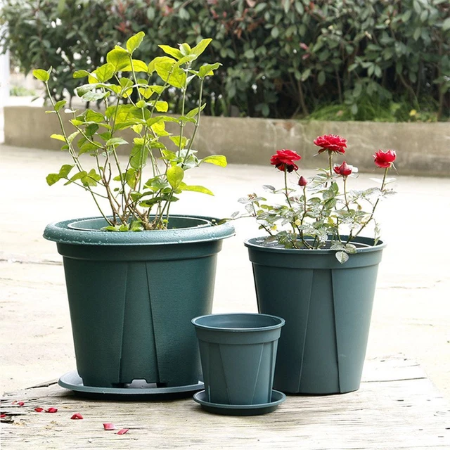 inférieur Plastique Pots de fleurs Planteur Boîte succulente Pot de Plante