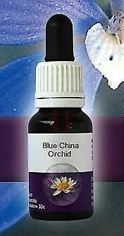Blue China Orchid Living Essences of Australia flores arbustivas australianas