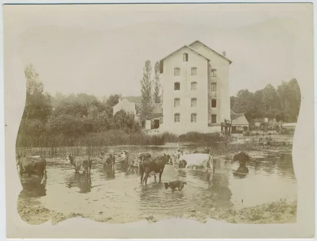 Moulin de Crécy-la-Chapelle (Seine-et-Marne). Tirage citrate circa 1900.