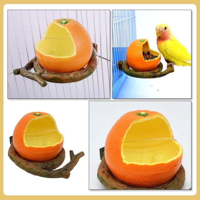 Mangiatoia Per Pappagalli In Acciaio Inossidabile | Spiedino Per Frutta E Verdura | Giocattolo Da Foraggiamento | Voiakiu - Foto 9