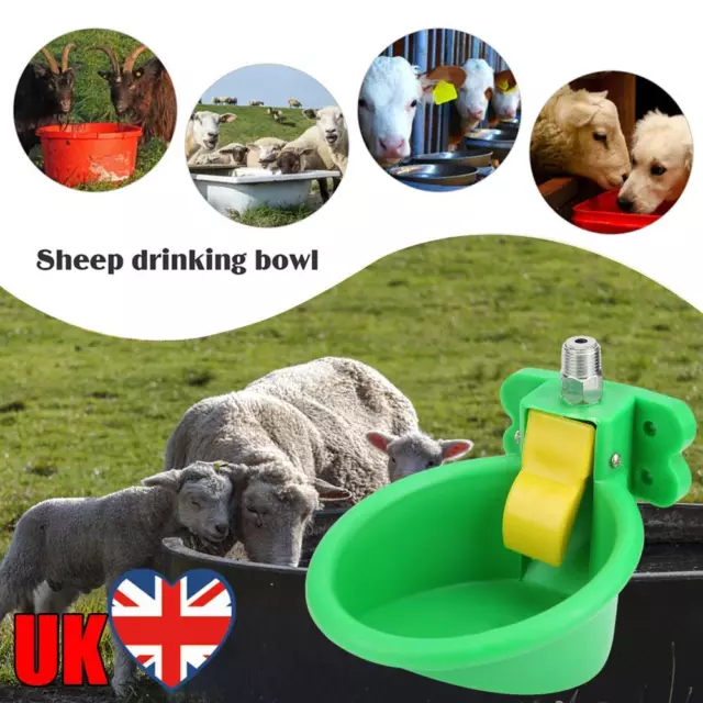 Durable Livestock Drinker Bowl Sheep Water Bowl Automatic for Dog Cattle Piglets