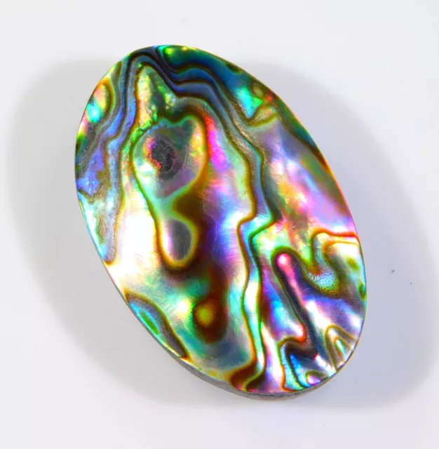 22 CT Superbe Naturel Arc en Ciel Feu Abalone Coque Ovale Cabochon Gemme Ci =