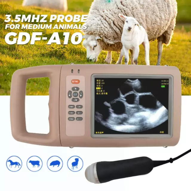 Portable Veterinary Ultrasound Scanner Kit With 3.5MHz Probe For Medium Animals