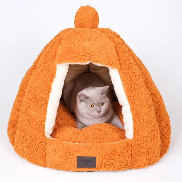 Grand lit pour chiot, tente pour chat et maison extérieure pour chat