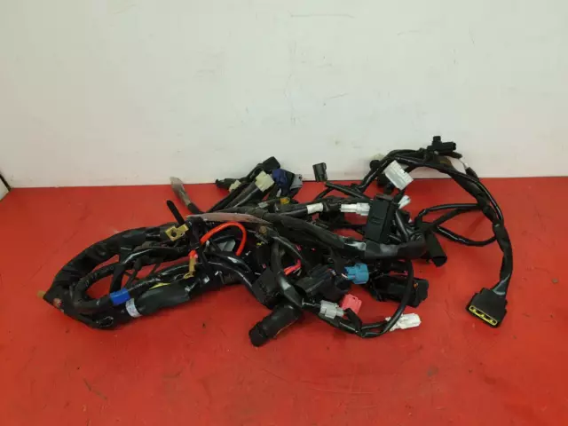 Yamaha Yzf R7 2023 Wiring Loom