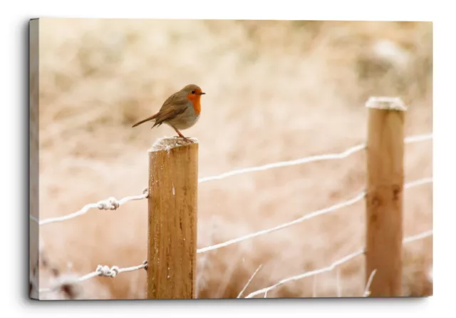 Winter Robin Bird Christmas Red Canvas Print Wall Art Picture Home Decoration