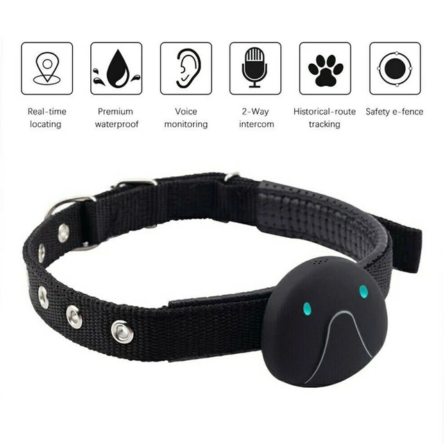 Tracciatore GPS anti-perdita animale domestico impermeabile cane gatto localizzatore collare recinzione tracciamento telefono