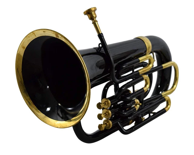 Euphonium 4 Valve Bb Pitch Including Carry Case & Including Mouthpiece Gloves .