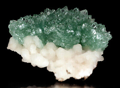 Green Apophyllite Sparkling Crystals Flower on Stilbite # DEN 027