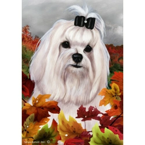 Fall House Flag - Maltese (Show) 13222
