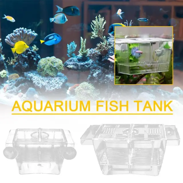 1X Acrylic Fish Tank Breeding Isolation Box Aquarium Incubator Hot Box Y6Z6