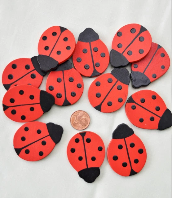 BestCity Fliegenfischen Set - 8 Schaumstoff Käfer Fliegen Größe 14