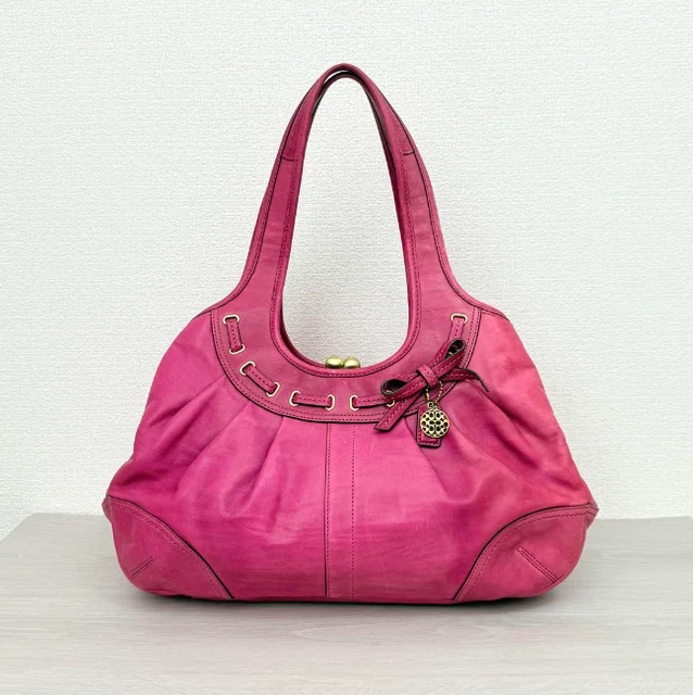 Coach Ergo Pleated Frame Kiss Rock Bag