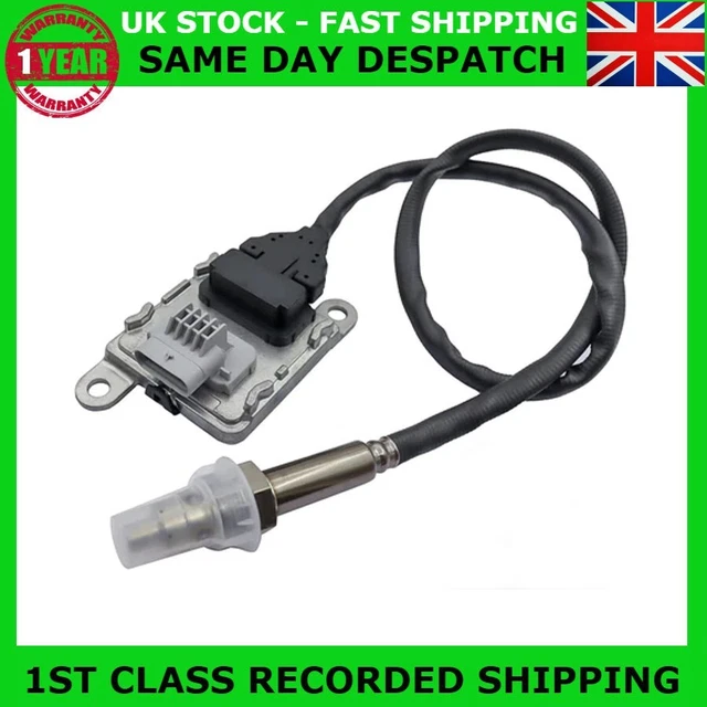 TUBES MARCHE PIEDS OVALE INOX 76 RENAULT TRAFIC L1 2014+ RENAULT TRAFIC - Speed Wheel