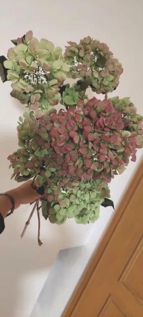 Hortensien Strauß rosa-grün, große Blüten, naturbelassen getrocknet, Nr. 1