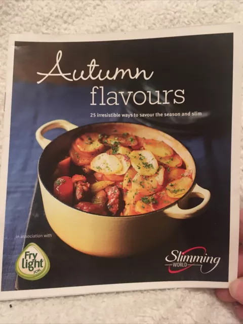 Slimming World Autumn Flavours 25 Recipes BOOKLET Comfort Food used GOOD Small