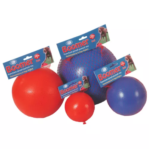 Boomer Ball Indestructible Solid Dog Toy Ball 4 6 8 10 inch Company of Animals
