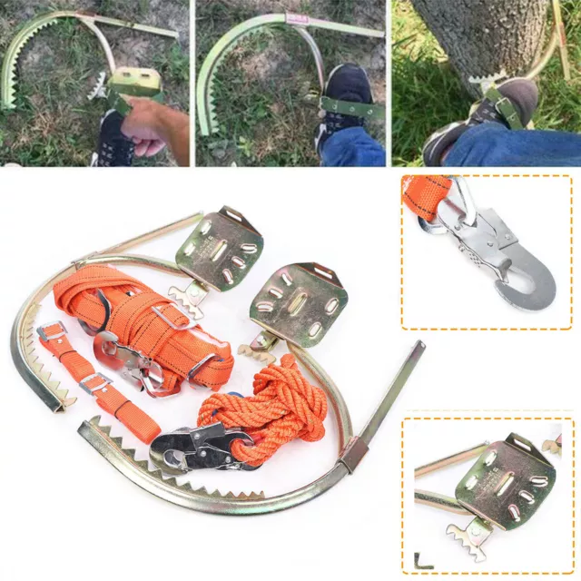 Tree Climbing Spike Set 2-Gear W/ Safety Harness Adjustable Belt Foot Buckle
