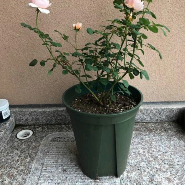 Haus Blumentopf Im Freien Kunststoff Pflanze Pflanze wachsen Werkzeug Neu