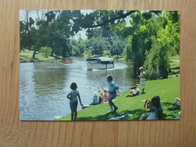 Old South Australian Postcard- Torrens River Popeye (Murfett)