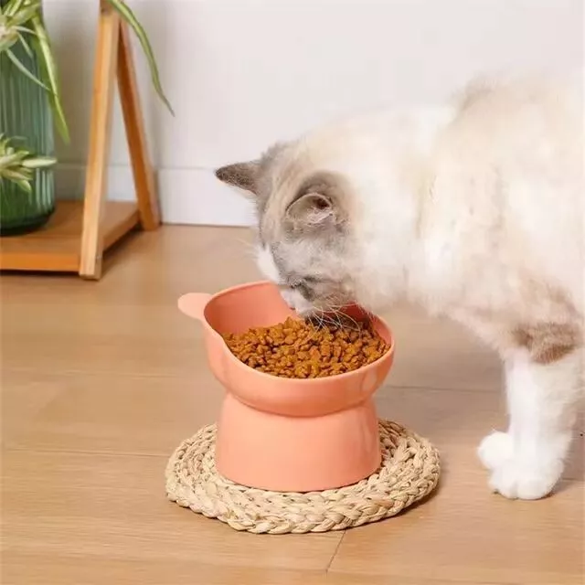 1X Cat Bowl Pet Dog Cat Elevated Feeder Food Water Raised Bowl Tilted Stand Bowl