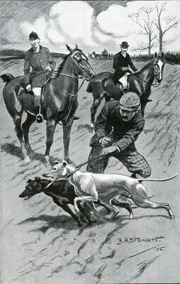 GREYHOUND COURSING ANTIQUE Dog Art Print 1905 - The Slipper at Work Waterloo Cup