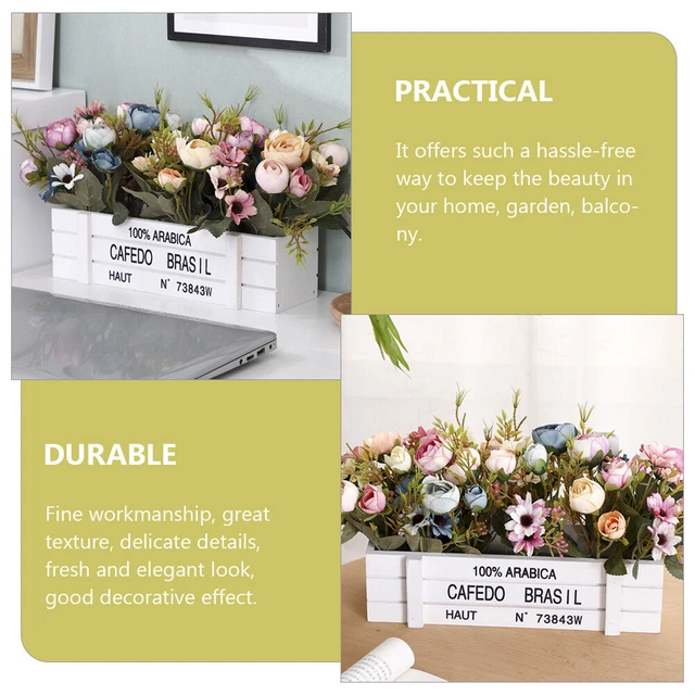 Air Plant Holder Flowerpot Vegetable Container Planters Indoor Plants Flowers 5