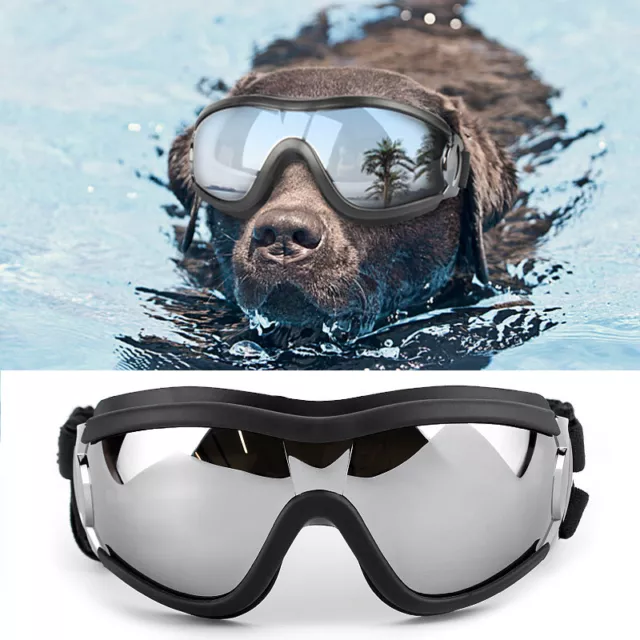 Lunettes De Soleil Pour Chien Lunettes De Soleil Coupe-Vent Protection Uv .