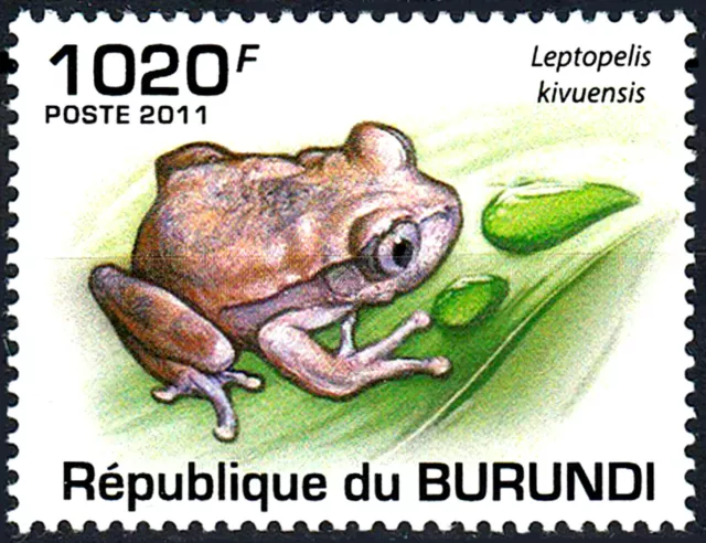 Burundi postfrisch MNH Frosch Kröte Amphibie Waldsteigerfrosch Wildtier / 104