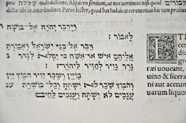 1546 Bible Basel leaf Large  Amazing rare book Judaica Hebrew Latin antique NICE