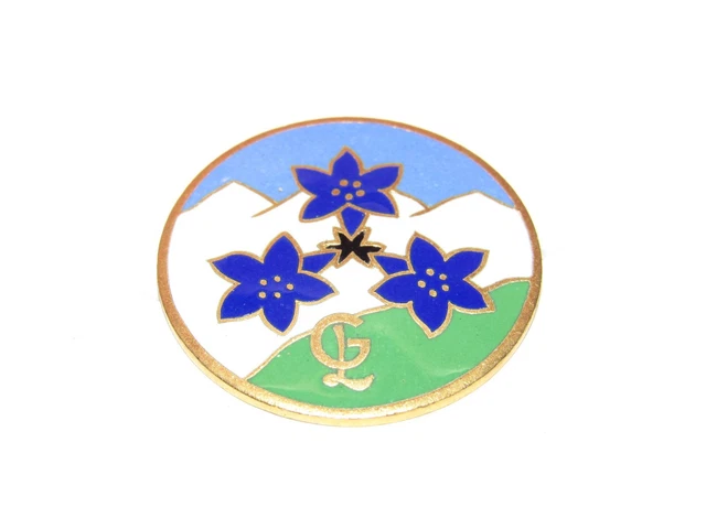 RARE SKI ANCIEN insigne Émaillé École de ski De Chamonix 1ere étoile