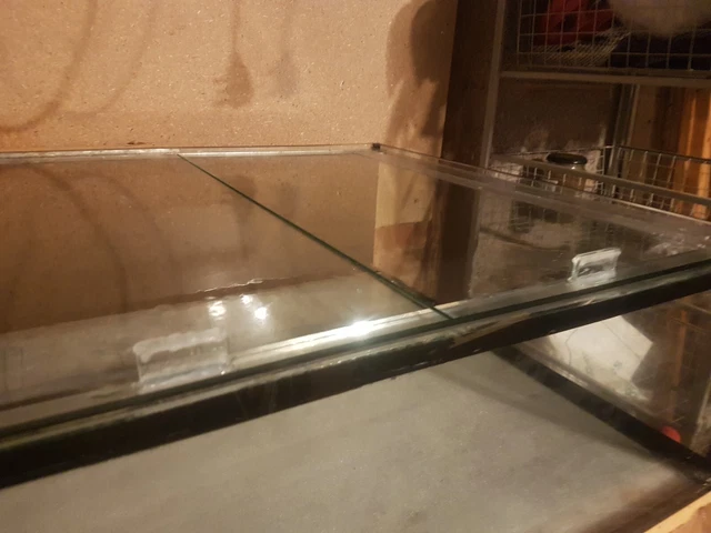 Large Shallow Fish Tank Aquarium Coral Tray