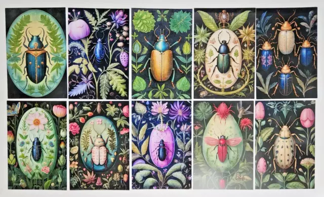 Set of 10 NEW Botanical Beetles Postcards Great for Postcrossing