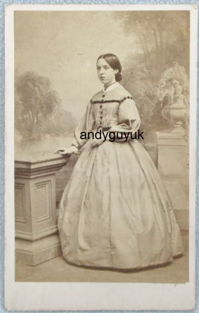 Cdv Lady Named Mrs George Blundell Painted Background Clarkington Antique Photo